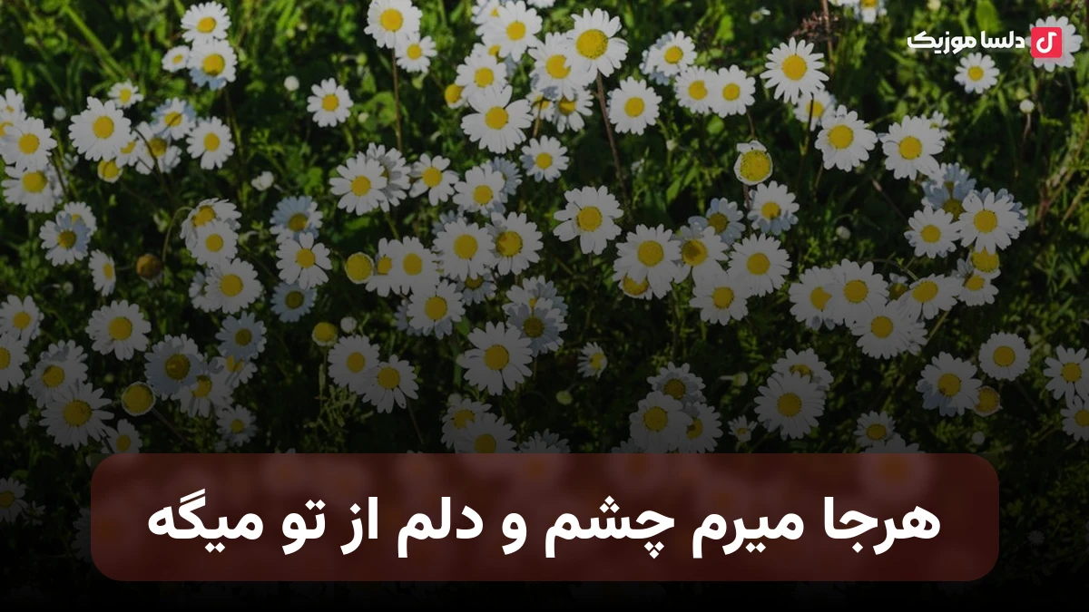 هرجا میرم چشم و دلم از تو میگه دلم میخواد داد بزنم بسه دیگه